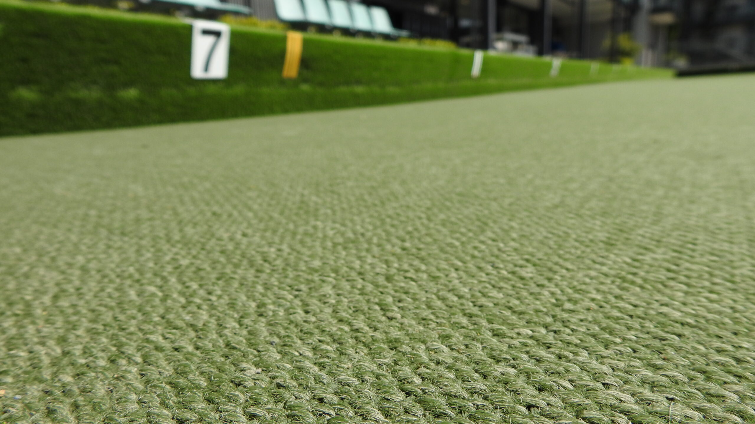 Featured Image for “Protect Your Artificial Green”